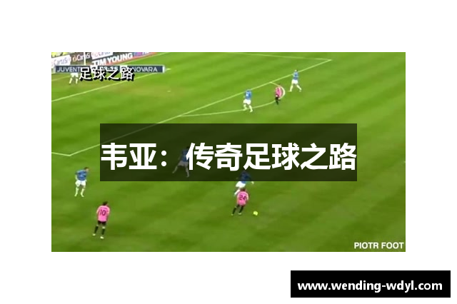 韦亚：传奇足球之路