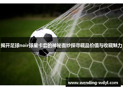 揭开足球noir球星卡套的神秘面纱探寻藏品价值与收藏魅力