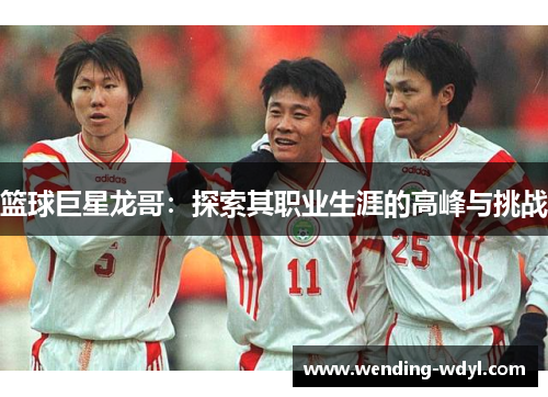 篮球巨星龙哥：探索其职业生涯的高峰与挑战