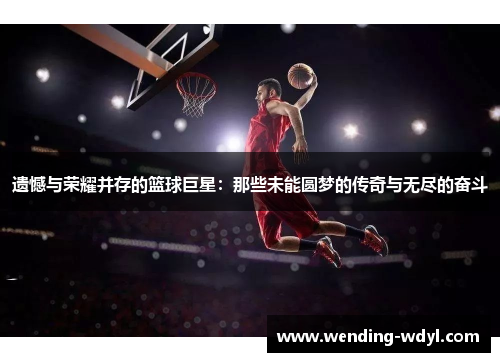 遗憾与荣耀并存的篮球巨星：那些未能圆梦的传奇与无尽的奋斗